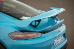 Porsche 718 Cayman GT4 2019 года (WW)